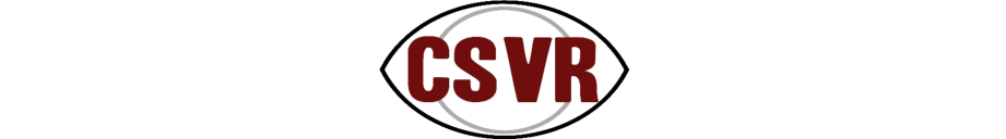 Community Services for Vision Rehabiliation